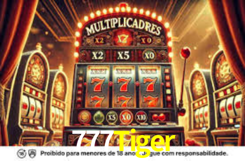Descubra a Essência do 777Tiger: Nossa História e Compromissos